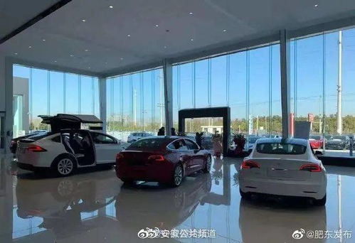 特斯拉落子肥東 安徽首家中心開業(yè)，開啟新能源汽車市場(chǎng)新篇章
