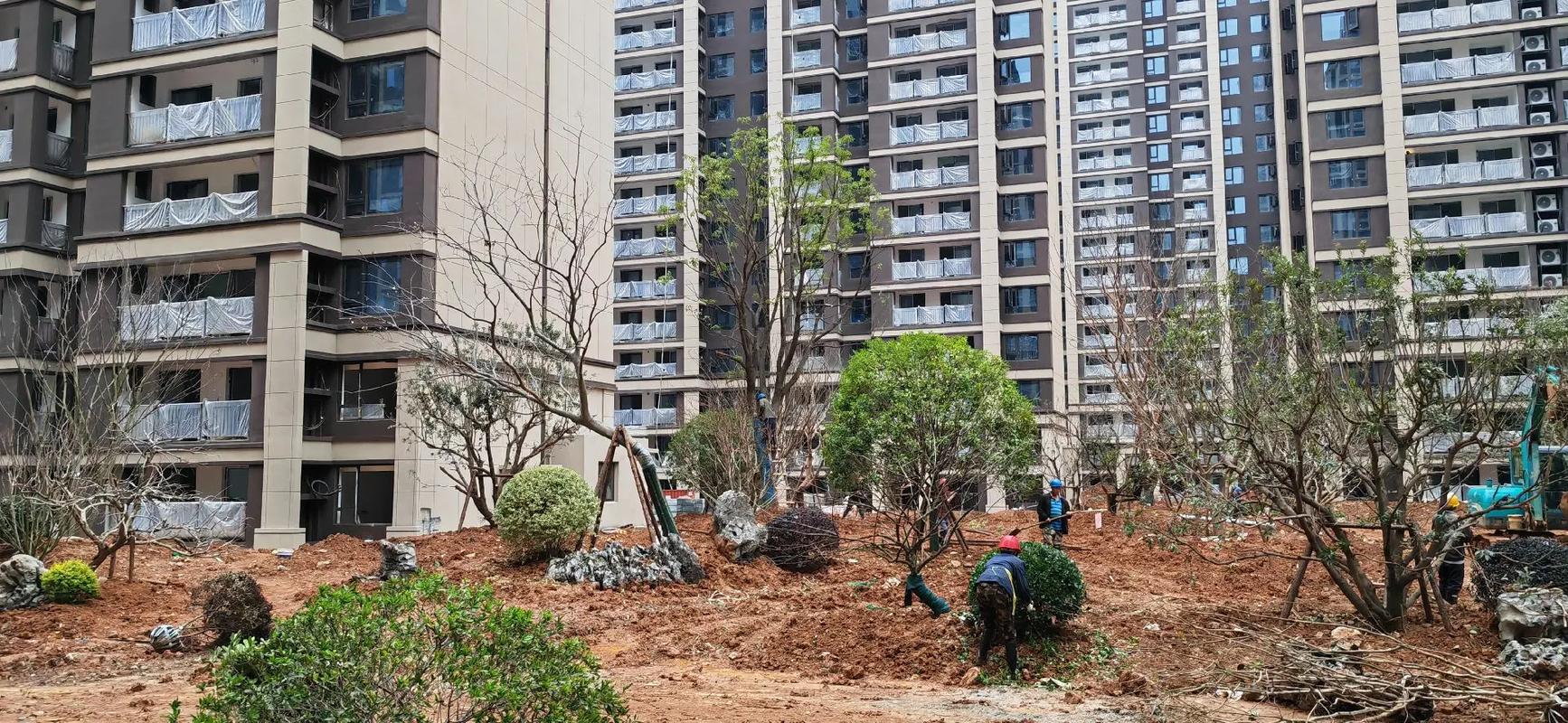 香樟一立，綠意盎然——記小區園林綠化工程施工現場