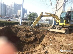 取消園林綠化施工資質后，如何加強園林企業資質管理